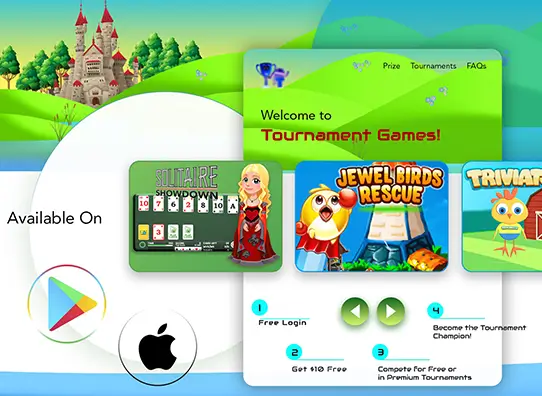 Online game software solution